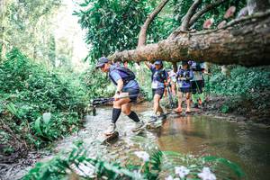 BIB: 
                            <button type="button" onclick="openModal(25517304)" class="btn btn-primary btn-sm float-right btn-popup" data-toggle="modal" data-target=".modal-high-quality">
                        <i class="fas fa-shopping-cart"></i> Add to Cart
                    </button>
                                            <button type="button" onclick="isThisMe(25517304, true)" class="btn btn-success btn-sm float-right btn-popup btn-isme hidden" data-toggle="tooltip" data-placement="bottom" title="นี่คือรูปของคุณใช่ไหม คลิกที่นี่เพื่อเอาเข้าอัลบั้ม">
                        <i class="fas fa-plus"></i> Add to album
                    </button>
                    <button type="button" onclick="isThisMe(25517304, false)" class="btn btn-warning btn-sm float-right btn-popup btn-isnotme hidden">
                        <i class="fas fa-ban"></i> Remove from album
                    </button>